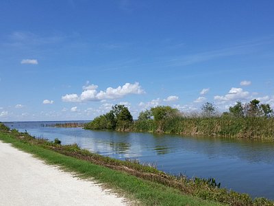 Zellwood FL