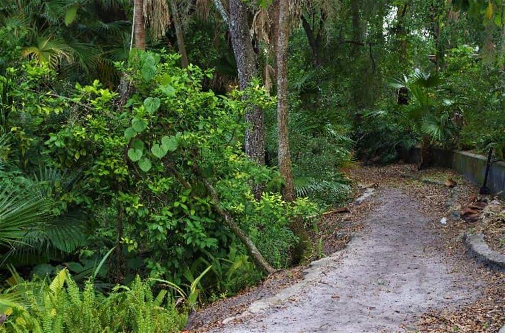 Azalea Park FL