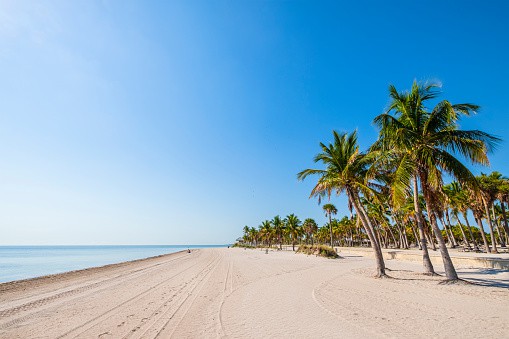 The Best Time To Move To Florida